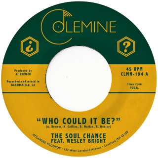The Soul Chance Feat. Wesley Bright &#8211; Who Could It Be? / Goodbye【新品 7" 】