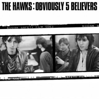 The Hawks / Obviously 5 Believers【新品 LP】