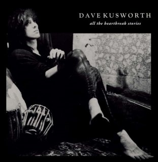 Dave Kusworth / All The Heartbreak Stories【新品 LP】