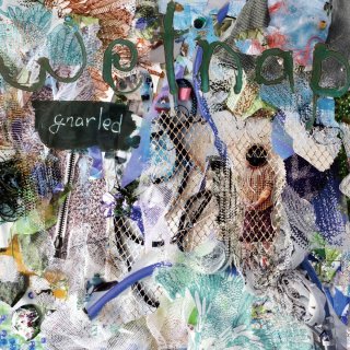 WETNAP / gnarled ڿ LP