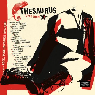 V.A. - Thesaurus Volume 3 Rock / Punk En France 1979 / 1980【新品 2LP】