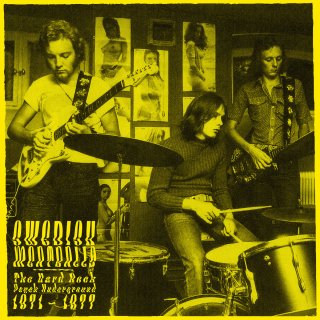 V.A. / Swedish Meatballs - The Psychedelic Hard Rock Underground 1971-1977ڿ LP