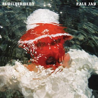 Pale Jay / Bewilderment【新品 LP+DLコード】