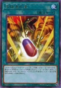 ڥץ쥤ѡ ͷ CP17-JP032 ˿ʲ (ܸ 쥢) 쥯ѥå 2017 š