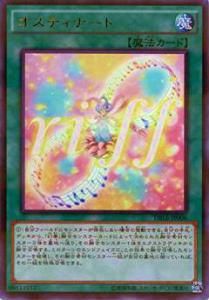 ڥץ쥤ѡ ͷ DBLE-JP006 ƥʡ(ܸ ȥѥ쥢) DIMENSION BOX š