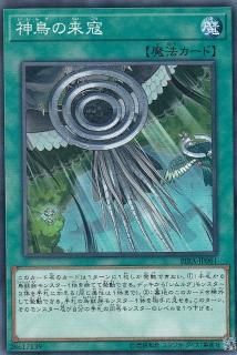 ڥץ쥤ѡ ͷ RIRA-JP061 Ļ (ܸ Ρޥ) 饤󥰡ڥ š