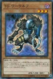 ڥץ쥤ѡͷ 18TP-JP406  ԣ   (ܸ Ρޥ) š