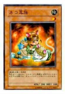 ڥץ쥤ѡͷ 303-027 ͥ²(ܸ Ρޥ쥢) š