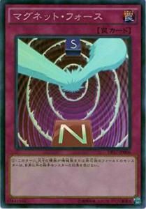 ڥץ쥤ѡͷ DP17-JP006 ޥͥåȡե (ܸ ѡ쥢)š