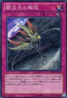 ڥץ쥤ѡͷ DS13-JPD36 Ǽβ (ܸ Ρޥ) ǥ奨ꥹȥå VER.꥿ʡ š