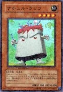 ڥץ쥤ѡͷ DT05-JP019 ʥ롦(ܸ ѡ쥢)š