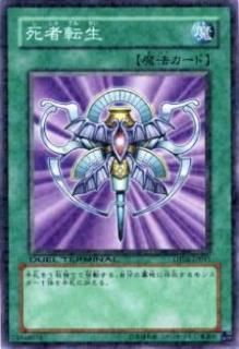 ڥץ쥤ѡͷ DT08-JP045 ž(ܸ Ρޥ)š