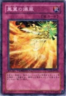 ڥץ쥤ѡͷ DT08-JP049 ˱(ܸ Ρޥ)š