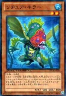 ڥץ쥤ѡͷ DTC4-JP039 奢顼(ܸ Ρޥ)š