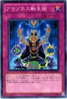 ڥץ쥤ѡͷ EXP4-JP019 ޥͥž(ܸ Ρޥ)š