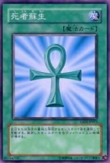 ڥץ쥤ѡͷ GS01-JP013 (ܸ Ρޥ) š