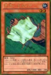 ڥץ쥤ѡͷ GS05-JP002 ᤤ(ܸ ɥ쥢) š