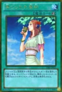 ڥץ쥤ѡͷ GS05-JP017 ؤ줿(ܸ ɥ쥢) š