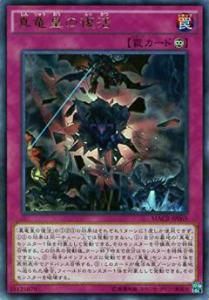 ڥץ쥤ѡ ͷ MACR-JP069 εĤ(ܸ 쥢)š