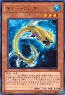 ڥץ쥤ѡͷ PHSW-JP008 顼֥(ܸ 쥢)š