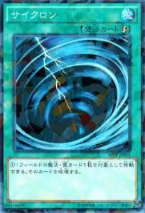 ڥץ쥤ѡͷ SPTR-JP051  Ρޥѥ쥢š