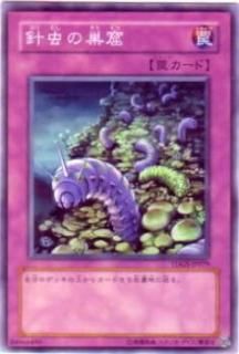 ڥץ쥤ѡͷ TDGS-JP079 㷢(ܸ Ρޥ쥢)š