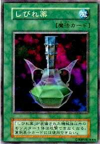 ڥץ쥤ѡͷ Ӥ(ܸ 쥢)š