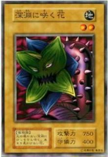 ڥץ쥤ѡͷ ʥ˺餯(ܸ Ρޥ) š