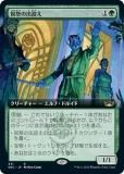 ޥå㥶 SNC JP 431 ˺פνзޤ (ܸ 쥢) ˥塼ڥʤγ