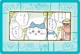 No.30 ȡ꡼ɡ  쥯󥫡ɥ ɤΤ