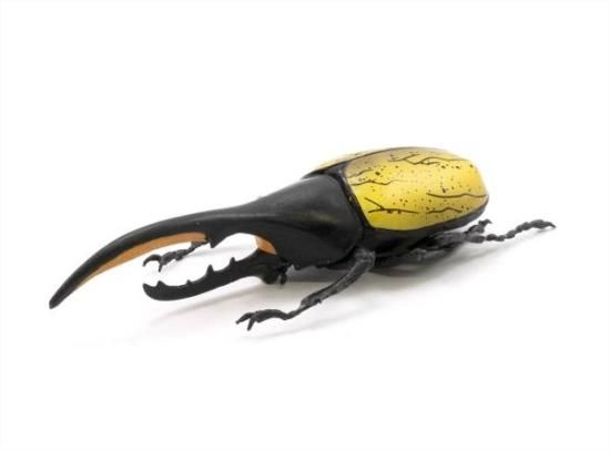 ヘラクレスオオカブト】昆虫ハンター - トレカ&ホビーの通販なら