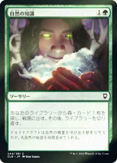【ご確認用】バルダーズ・ゲートの戦い 自然の知識 日本語 1枚　MTG ご確認用】バルダーズ・ゲートの戦い 自然の知識 日本語 1枚 MTG