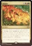 FOILۥޥå㥶 2X2 JP 240 ϴ (ܸ 쥢) ֥ޥ2022