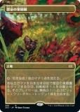 ޥå㥶 2X2 JP 405 شβ̼ (ܸ 쥢) ֥ޥ2022