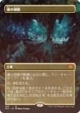 FOILۥޥå㥶 2X2 JP 402 ƶ (ܸ å쥢) ֥ޥ2022