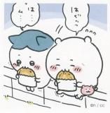 No.26 ϥ  륳쥯