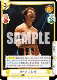 ReС NJPW/002B-007 ͺ   (R 쥢) ֡ѥå ܥץ쥹 Vol.2