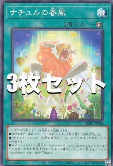 遊戯王 - 即日発送！【ナチュル春化精】デッキ　遊戯王　ダークウィングブラスト 即日発送！【ナチュル春化精】デッキ 遊戯王 ダークウィング