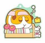 ڥݥƥ(B) PUI PUI 륫 פäХޥ