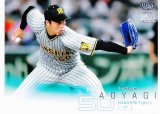 BBM ベースボールカード 398 青柳晃洋 阪神タイガース (レギュラーカード) 2022 2ndバージョン