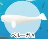 ڥ٥롼A۳ʪ罸:Reߥ˥ե奢쥯
