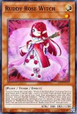 ͷ MP22-EN061 ϡ鯤 Ruddy Rose Witch (Ѹ 1st Edition 쥢)