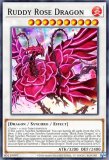 ͷ MP22-EN077 ֥åɡɥ饴 Ruddy Rose Dragon (Ѹ 1st Edition ץꥺޥƥååȥ쥢)