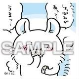 No.40 󥬡ۤ Ĥƥ륬 Τ