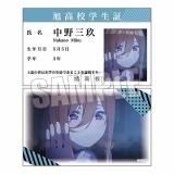 (⹻B)ۥ쥯󥫡 ǲ ʬβֲ