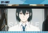 ڥ桼ꡦ֥饤 SPYFAMILY ꥢӥ奢ݥA5
