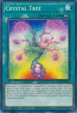 ͷ SDCB-EN024 ̤μ Crystal Tree (Ѹ 1st Edition Ρޥ)