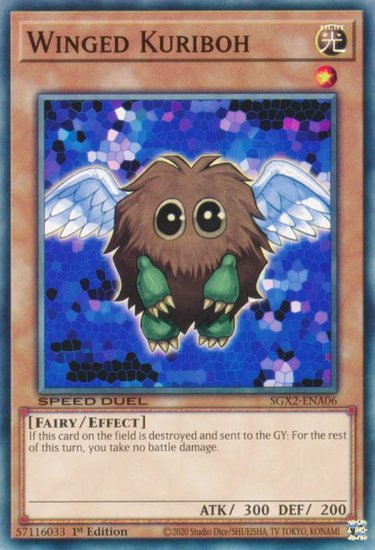 ͷ SGX2-ENA06 ϥͥܡ Winged Kuriboh (Ѹ 1st Edition Ρޥ)