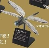 ڥȥܡ۸޴ե꡼ ܤΥȥ