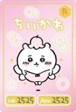 [] No.11  (饯/쥢)   쥯󥫡ɥ 2